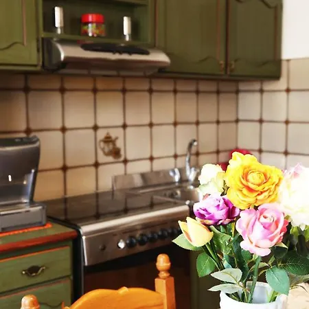 Apartment Delle Rose Sesto Calende
